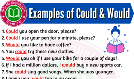 examples of could and would