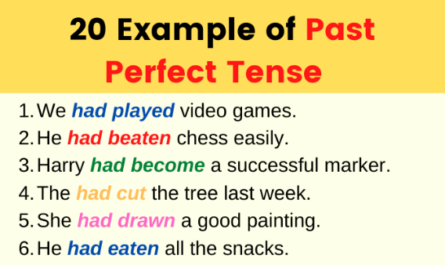 Example of Past Perfect Tense