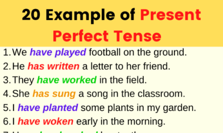 present-perfect-tense.