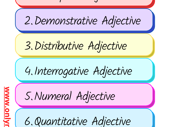 Types of Adjective: Definition & Examples