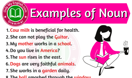 examples of noun