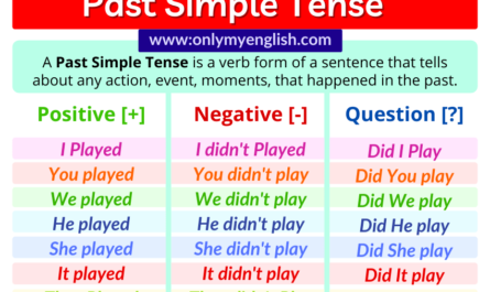 Past Simple Tense function example