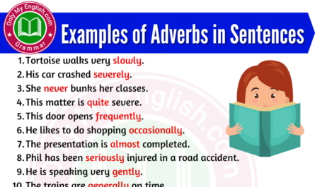 examples of adverbs in sentences