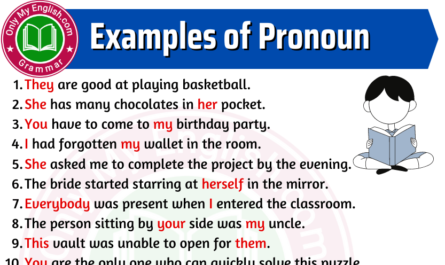 examples of pronoun