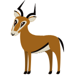 antelope