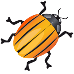 beetle