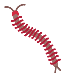 centipede