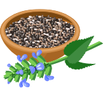 chia seed