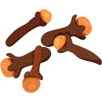 cloves