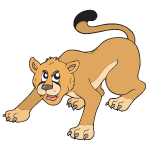 cougar