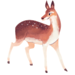deer