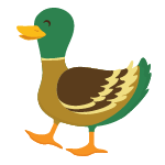duck