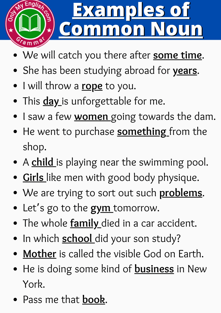 examples of common noun in sentences