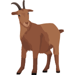 goat