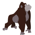 gorilla