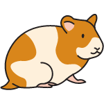 hamster