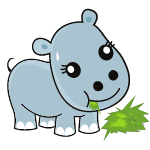 hippopotamus