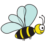 honeybee