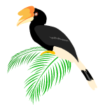 hornbill