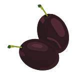 java plum fruit