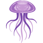 jellyfish