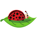 ladybug