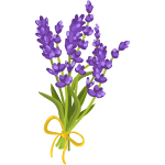 lavender flower