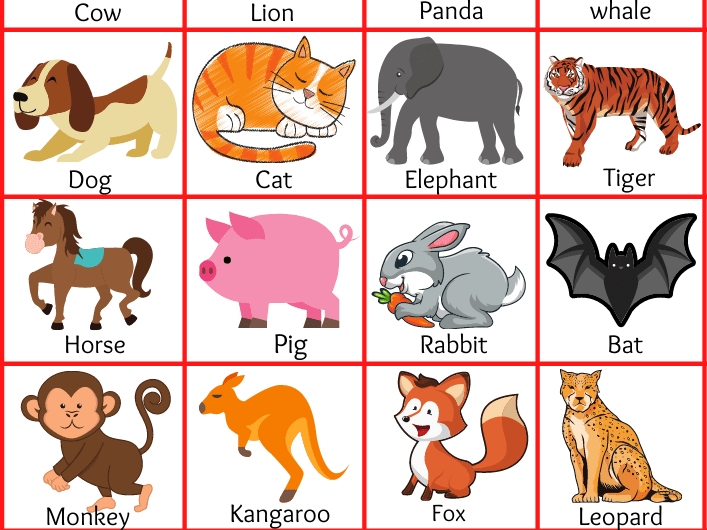 Mammals Name and Examples with Pictures