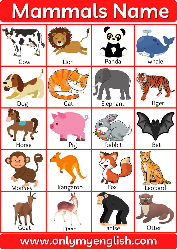Mammals Name and Examples with Pictures » OnlyMyEnglish