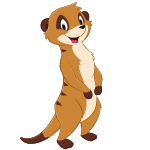 meerkat