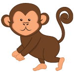 monkey
