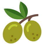 olives fruit