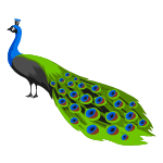 peacock
