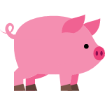 pig
