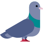 pigeon