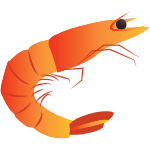 prawns