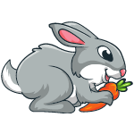 rabbit