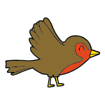 robin