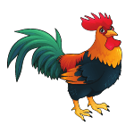 rooster