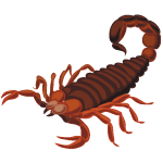 scorpion