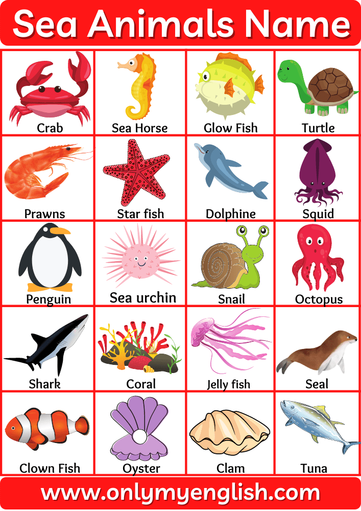 Sea Animals Drawing With Names ~ Enjoy Learning English: Sea Animals