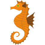 sea horse