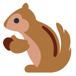 squirrel