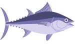 tuna