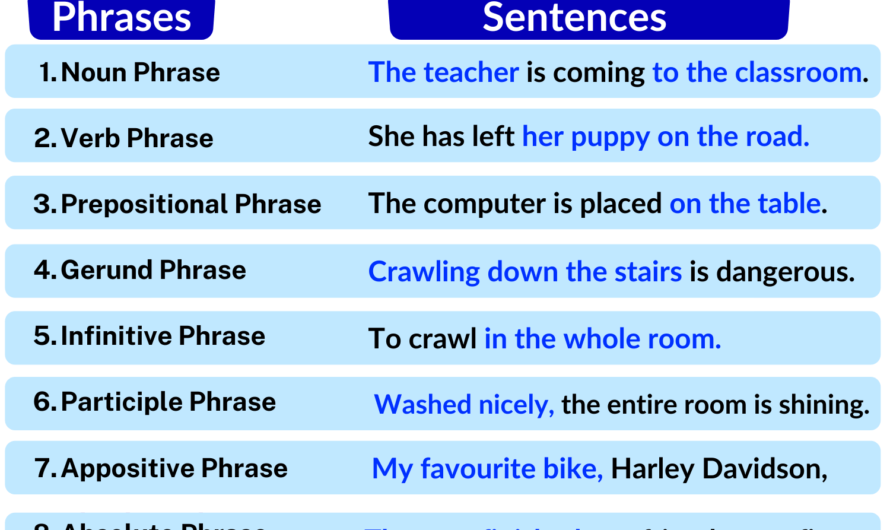 Phrase: Definition & Types