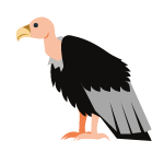 vulture
