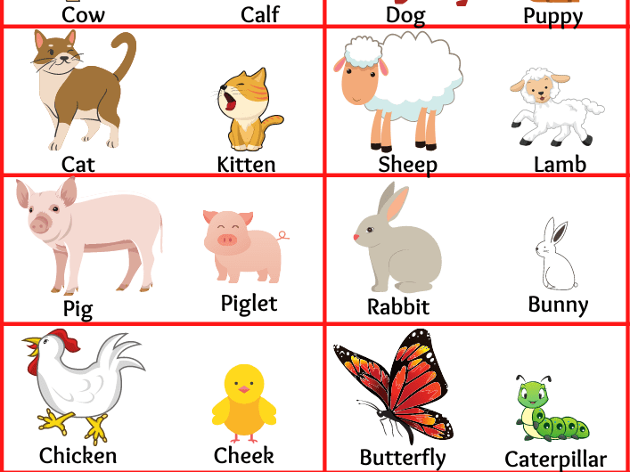 40+ Animals and Their Babies | Animals Baby Name