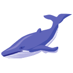 blue whale
