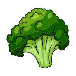 broccoli vegetables name