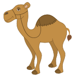 camel